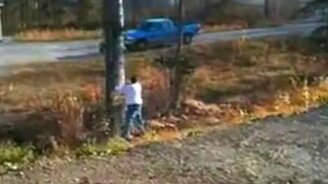 Удачное приземление ствола дерева - смотреть видео (0:31)