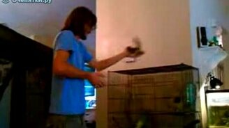 Белка, прыжок! - смотреть видео (0:37)