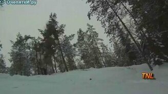 Свалили сосны своим весом - смотреть видео (0:36)