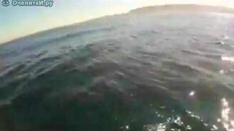 Встреча на байдарке с китом - смотреть видео (4:18)