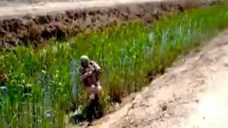 В туалет хотел сходить - смотреть видео (0:33)