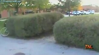 Полёт через кусты - смотреть видео (0:16)