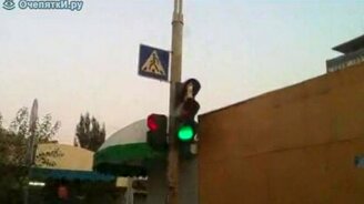 Кот в светофоре - смотреть видео (0:53)