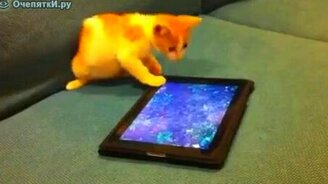 Котёнок в виртуальном мире - смотреть видео (1:50)