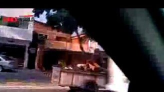 Пёс катается на осле - смотреть видео (0:27)