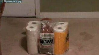 Кот в туалетной бумаге - смотреть видео (1:03)