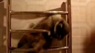 Так тепло и так неудобно - смотреть видео (1:46)