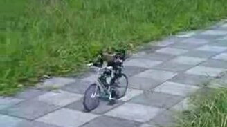 Робот-велосипедист - смотреть видео (4:19)