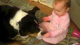 Малыш кормит пса - смотреть видео (2:02)