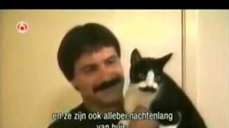 Эти забавные животные - смотреть видео (7:35)