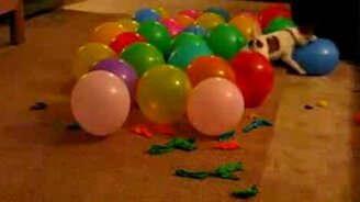 Битва с шариками - смотреть видео (0:25)