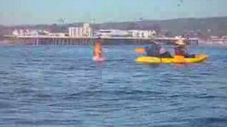 Кит напугал девушку - смотреть видео (0:39)