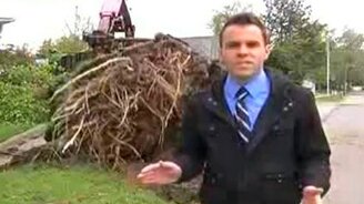 Случай с бензопилой - смотреть видео (0:23)