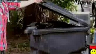 Белка ниндзя - смотреть видео (0:34)