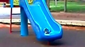 Котёнок и горка - смотреть видео (0:52)