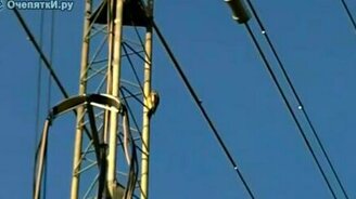 Дятел есть дятел - смотреть видео (0:20)