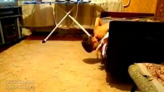 Котёнок атакует - смотреть видео (0:11)