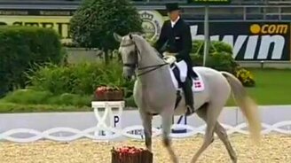 Танцующая лошадь - смотреть видео (1:21)