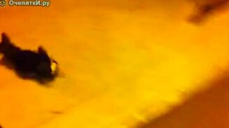 Оригинальный способ пописать - смотреть видео (0:44)