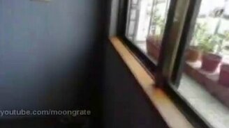 Кот носится по стенам - смотреть видео (0:15)