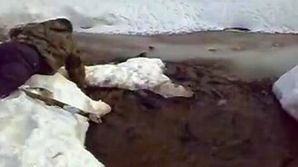 Заветная мечта рыбака - смотреть видео (1:24)