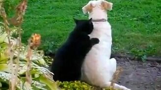 Захотелось сделать приятное - смотреть видео (0:50)