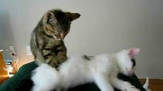 Двойной релакс - смотреть видео (0:23)