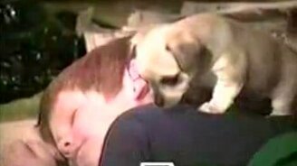 Групповая атака - смотреть видео (0:56)