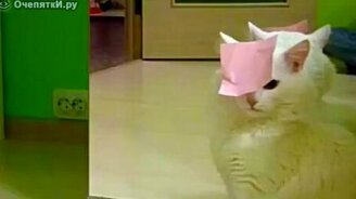 Что у меня с глазами? - смотреть видео (1:15)