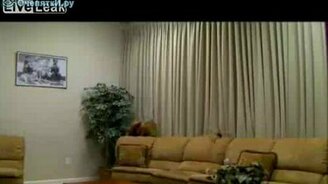 Паучий розыгрыш - смотреть видео (1:13)