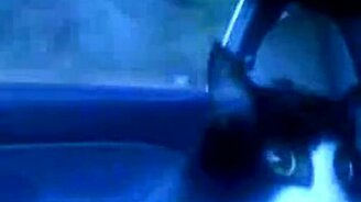 Вот это драйв! - смотреть видео (0:32)