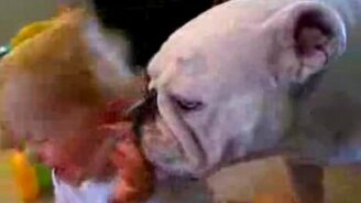 Очень я тебя люблю! - смотреть видео (0:44)