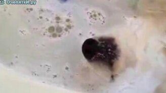 Балдёж в ванной - смотреть видео (0:53)