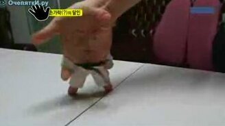 Ручной каратист - смотреть видео (1:10)