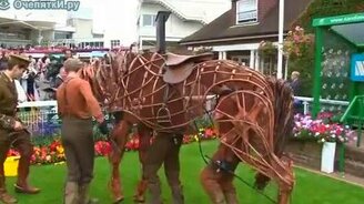 Забавная лошадка - смотреть видео (4:18)