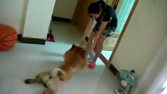 Эх, беспутный... - смотреть видео (1:58)