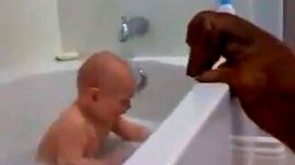 Малыш и таксы в ванной - смотреть видео (1:00)