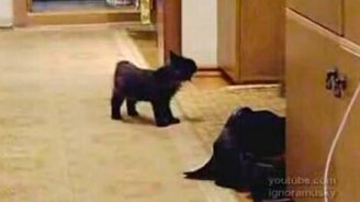 Мистер Зло в детстве - смотреть видео (0:49)