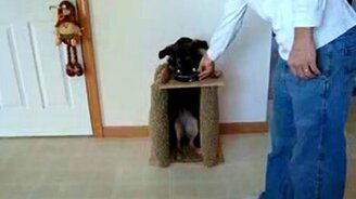 Кресло для трапезы - смотреть видео (1:15)