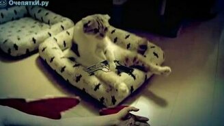 Отчего кот печален - смотреть видео (0:42)