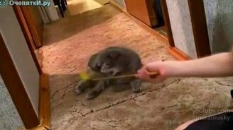 Это что за звук? - смотреть видео (0:24)