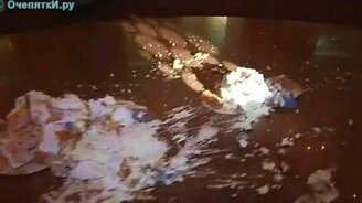 Неудача с тортом - смотреть видео (0:37)