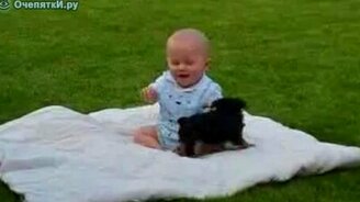 Щенок поборол малыша - смотреть видео (0:38)