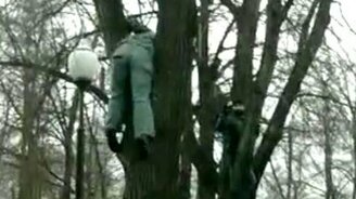 Еле залезла - смотреть видео (0:59)