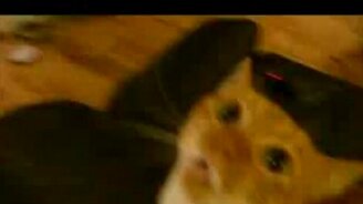 Мяустеп - смотреть видео (0:57)