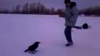 Бесстрашный ворон - смотреть видео (4:32)