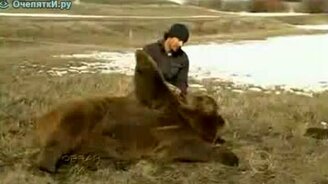 Дружелюбный мишка - смотреть видео (1:42)