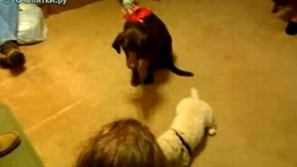 Мы друзья? - смотреть видео (0:52)