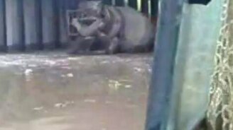 Смелая бетономешалка - смотреть видео (0:46)