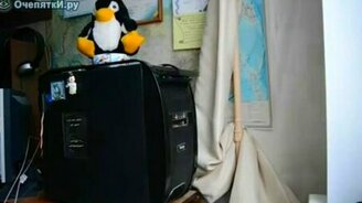 Борьба кошки с дисководом - смотреть видео (0:43)